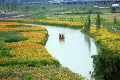 從“世界工廠”到“生態(tài)綠城” 東莞水污染治理的時(shí)代答卷