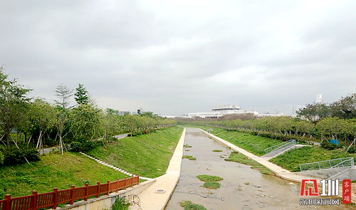 鳳凰街道綜合施策，力保雨季水污染治理全面達(dá)標(biāo)