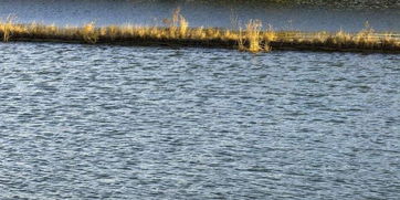 河南沈丘 源頭亮劍治理水污染，碧水清波重現(xiàn)古沈丘