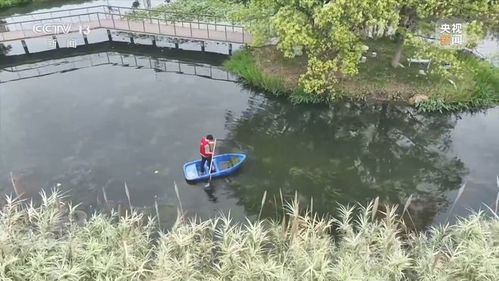 新朋友落戶“浙”里 水污染治理背后的綠色轉(zhuǎn)型故事