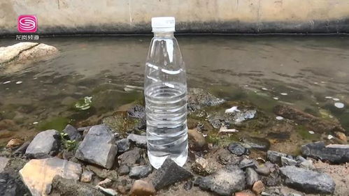 魚(yú)游蟹藏 吉華水污染治理成效顯著，黑臭水體已成歷史